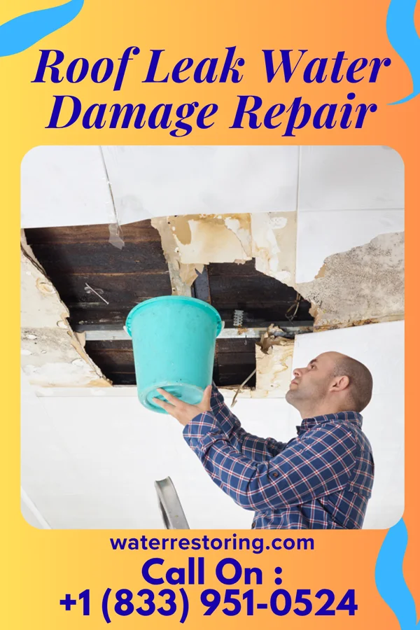 Roof Leak Water Damage Repair in Oakland, NE